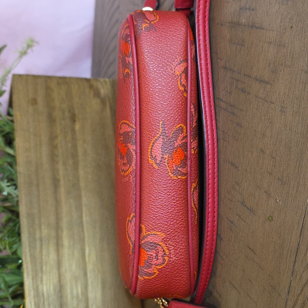 Coach Sadie Crossbody #31826 - Picture 6 of 9